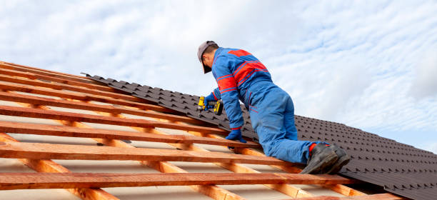 Best Steel Roofing  in Roosevelt, NJ