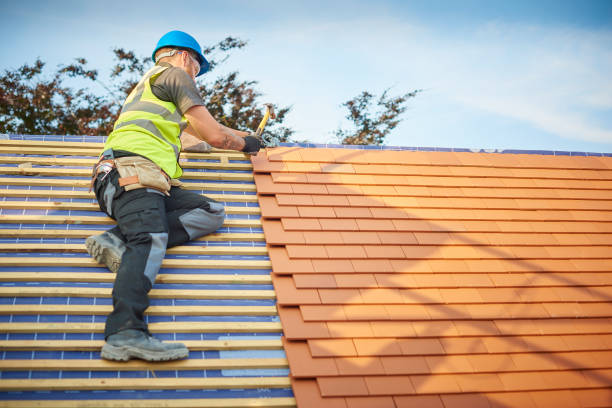 Best Flat Roofing  in Roosevelt, NJ