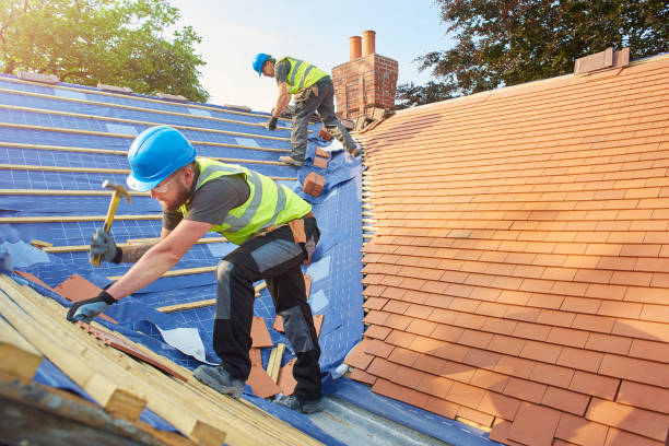 Best Skylight Installation and Repair  in Roosevelt, NJ